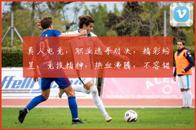 真人电竞，职业选手对决，精彩纷呈，竞技精神，热血沸腾，不容错过，体验非凡