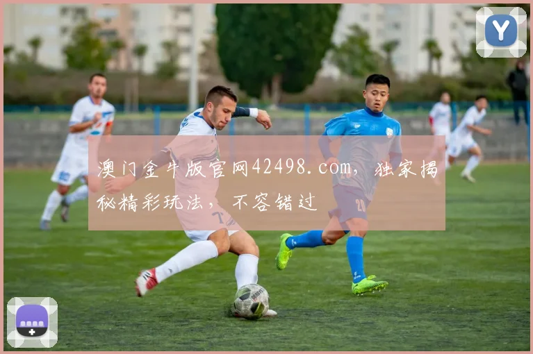 澳门金牛版官网42498.com，独家揭秘精彩玩法，不容错过